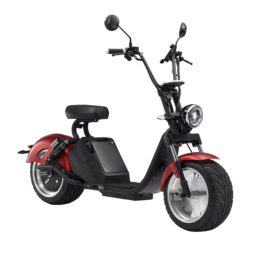 Electric Scooter with Removable Lithium Battery EEC Motorcycle