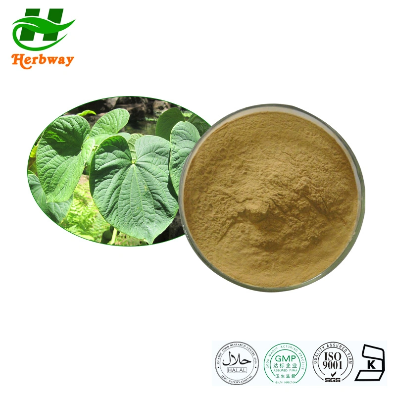 Herbway Botanical Extract Free Sample CAS 9000-38-8 Kavalactones Powder Kava Root Extract