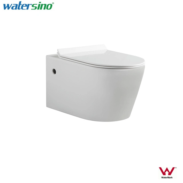 Watermark Dual Flushes Floor Standing Two Pieces Ceramic Toilet