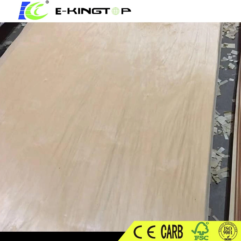 Birch Veneer, revestimento em bruto para contraplacado