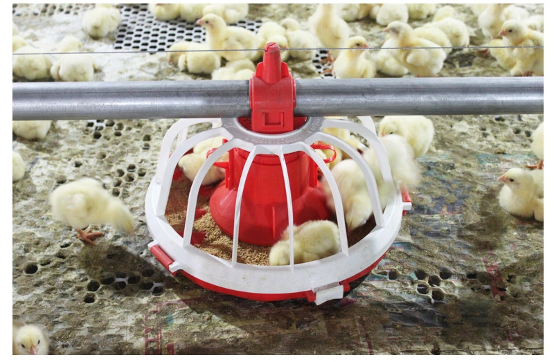 Hot Sale Chicken Farm equipamento de alimentação aves domésticas equipamento de melhoramento mamilo Sistema de canalização de água potável