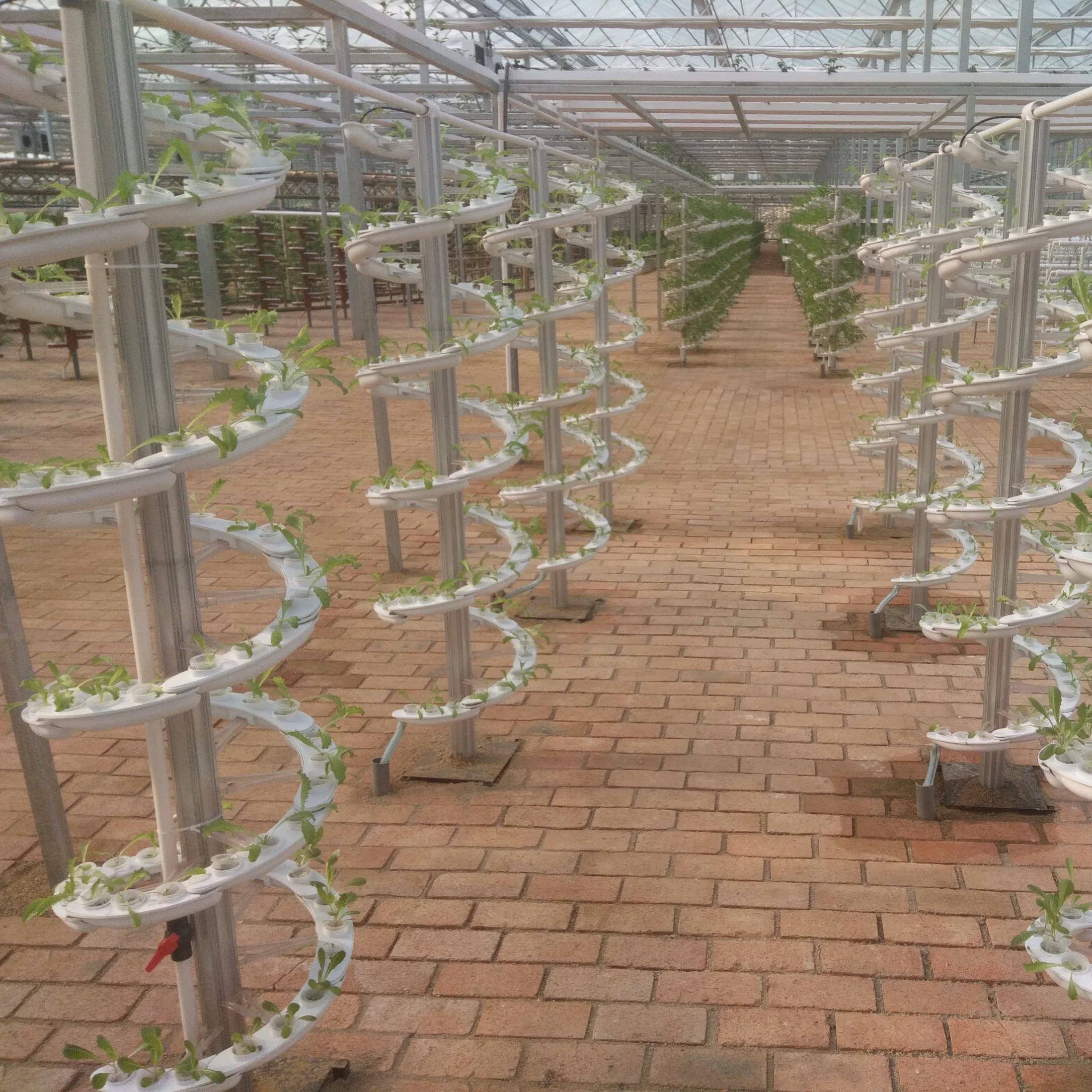 Modern Vertical Farming for Agriculture Greenhouse Farm for Lettuce/Herbs/Strawberry/Tomato/Leafy Vegetables/