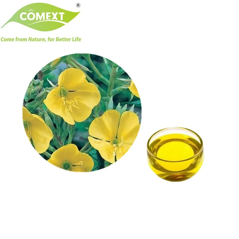 Comext muestra gratuita planta Natural aceite de Primrose de tarde para el cuidado de la piel