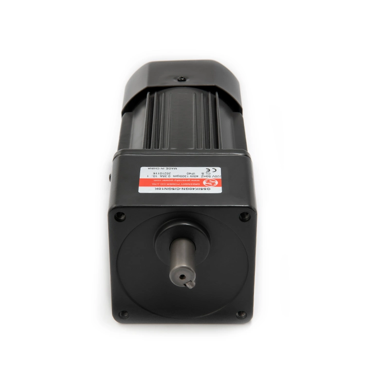 160W 180W 100mm AC Reversible Gear Motor with Speed Controller