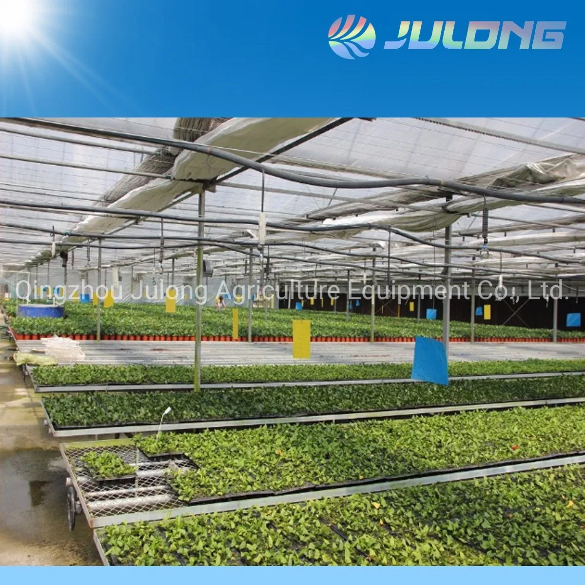 Low Cost Plastic Film Greenhouse for Planting Vegetables and Fruits