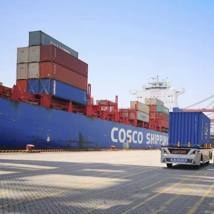 Transitaire expédition de marchandises de la mer au transport maritime de Shenzhen à Rotterdam, Pays-Bas