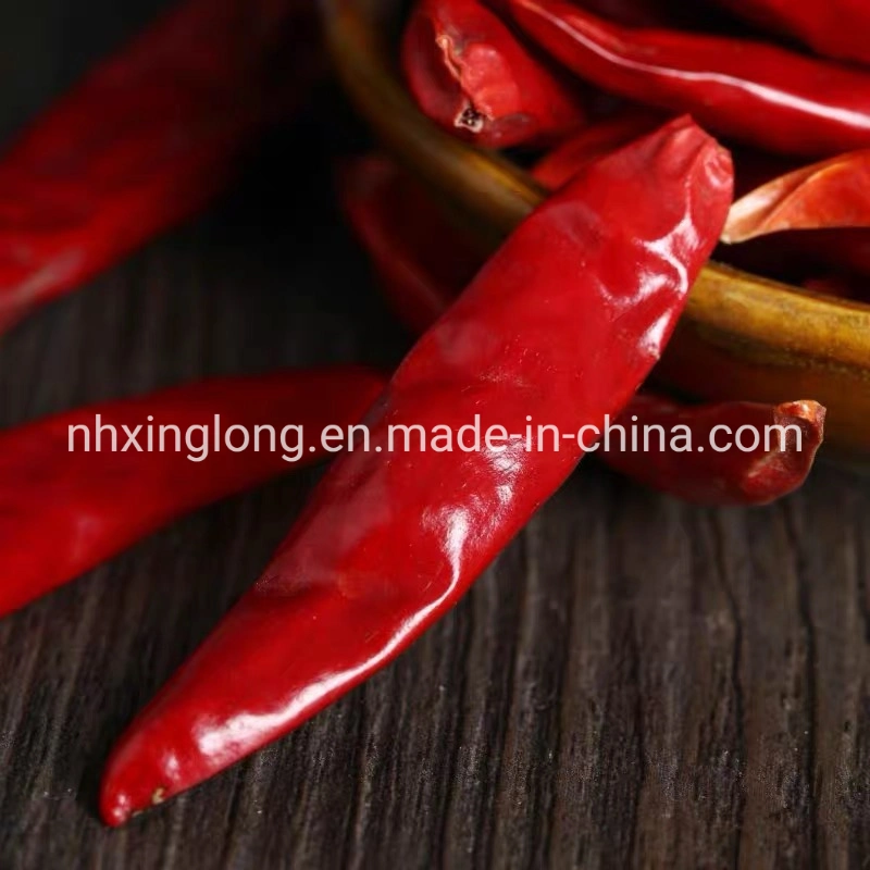 China Venta caliente Chili seco Precio rojo