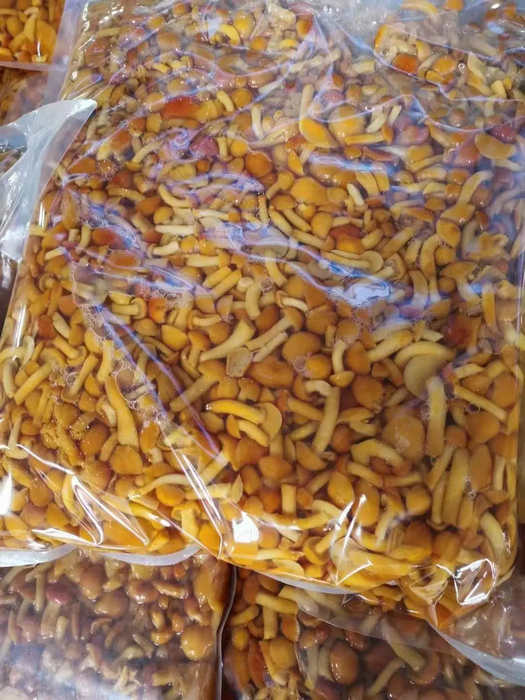 Nameko Mushroom in Brine Packed in Plastic Bag 15kg