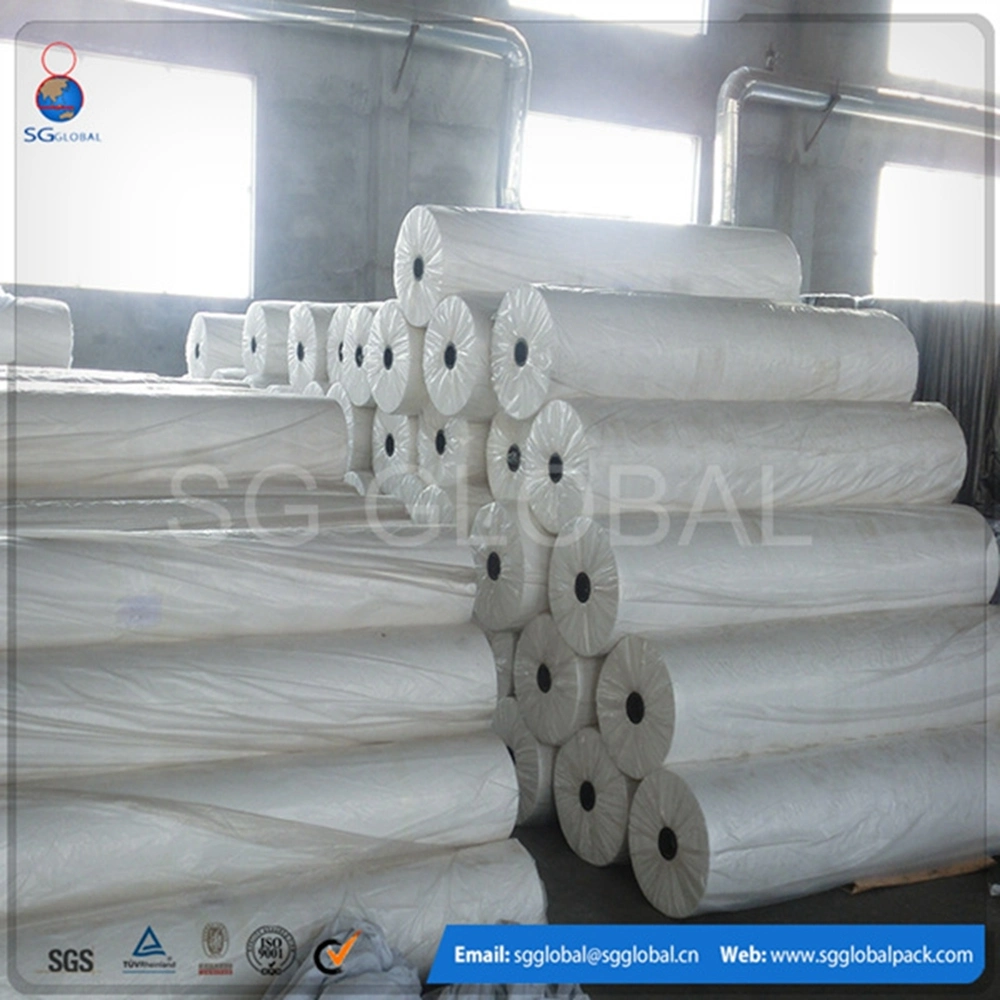 20GSM White PP Non Woven Fabric for Frostproof