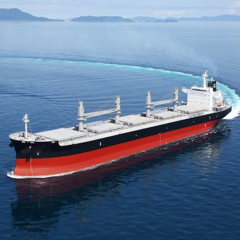 BV Certified Multi-Purpose Marine Cargo Ship Oil Tank Bulk Carrier