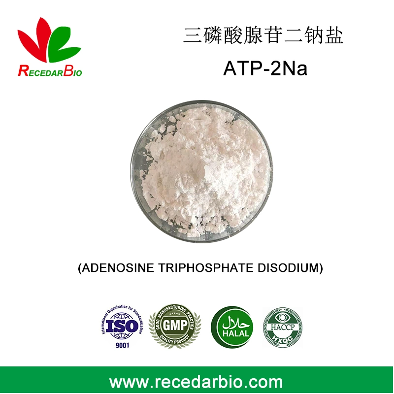 99% USP CAS 987-65-5 Adenosine Triphosphate Disodium ATP 2na Powder