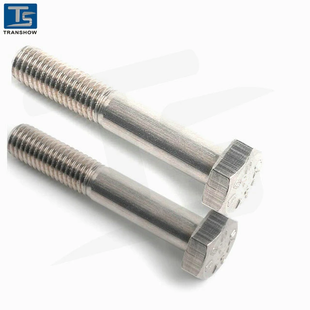 DIN/ASTM Stainless Steel Hex Head Bolt