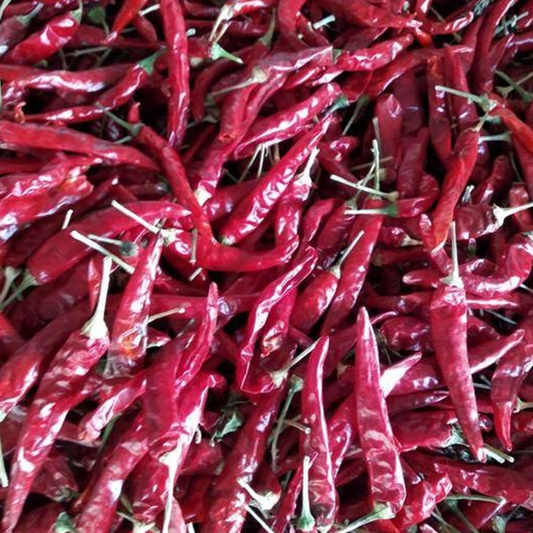 High Pungency Dried Red 819 Chilli Whole