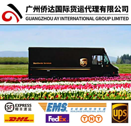 Express Courier Delivery Service From China to Cuba by DHL/TNT/UPS/FedEx