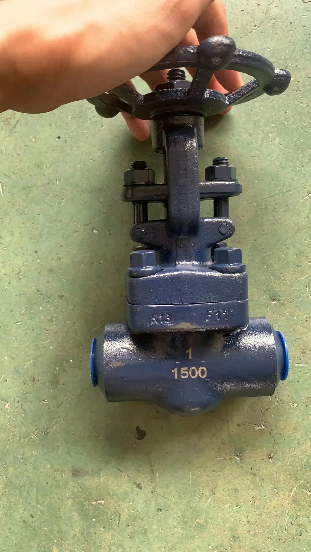 Socket Welded End Forged DN25 A105 Sw Type Forged Cl300 Gate Valve