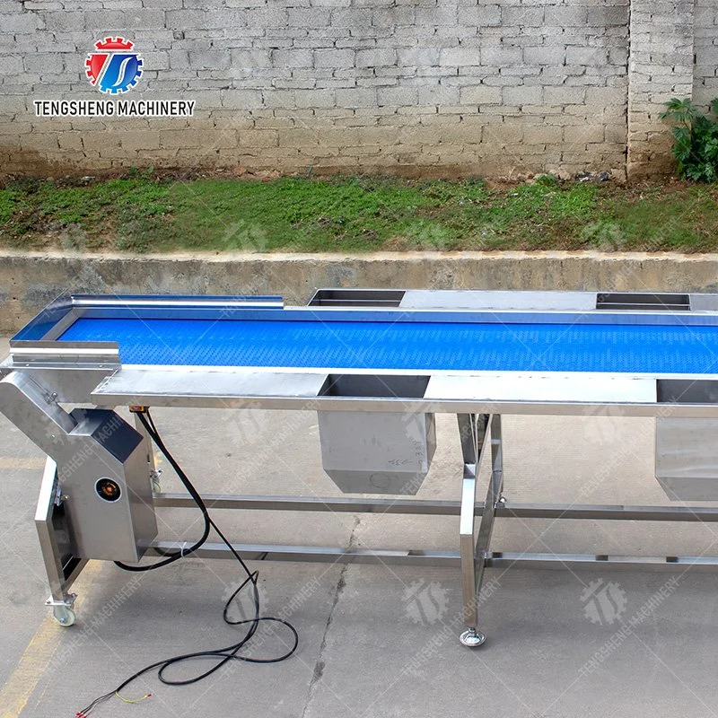 Automatic Stainless Steel Vegetable and Fruit Sorting Machine Selection Table