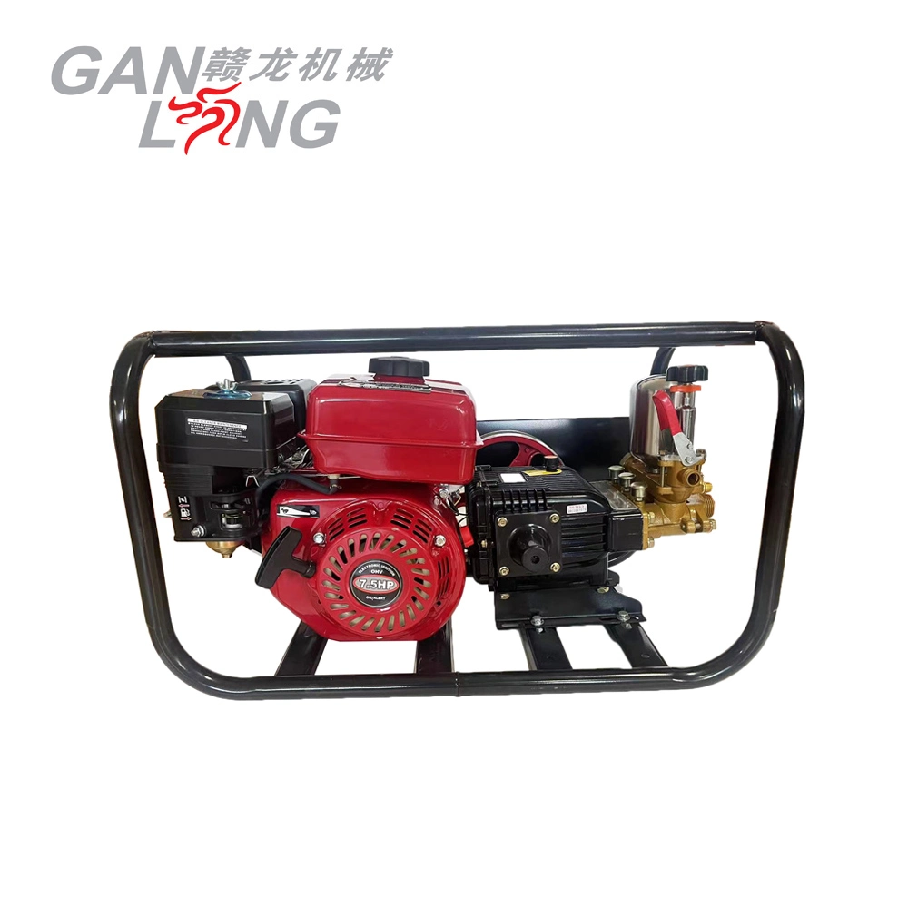 China Manufacture Agriculture Products Portable Gasoline Engine