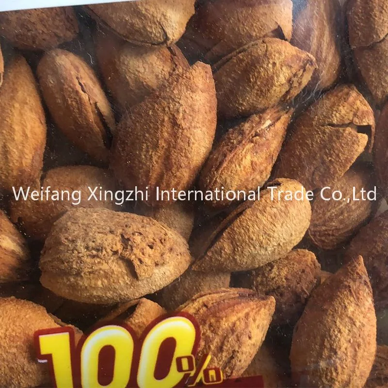 Wholesale/Supplier Healthy Thin Skin Almond Roastd Almond