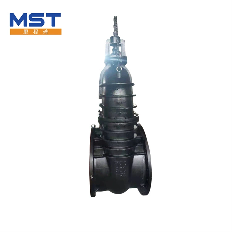 Cast Steel Gate Valve with API ASME DIN Gate Valve for Pipeline Butterfly Check