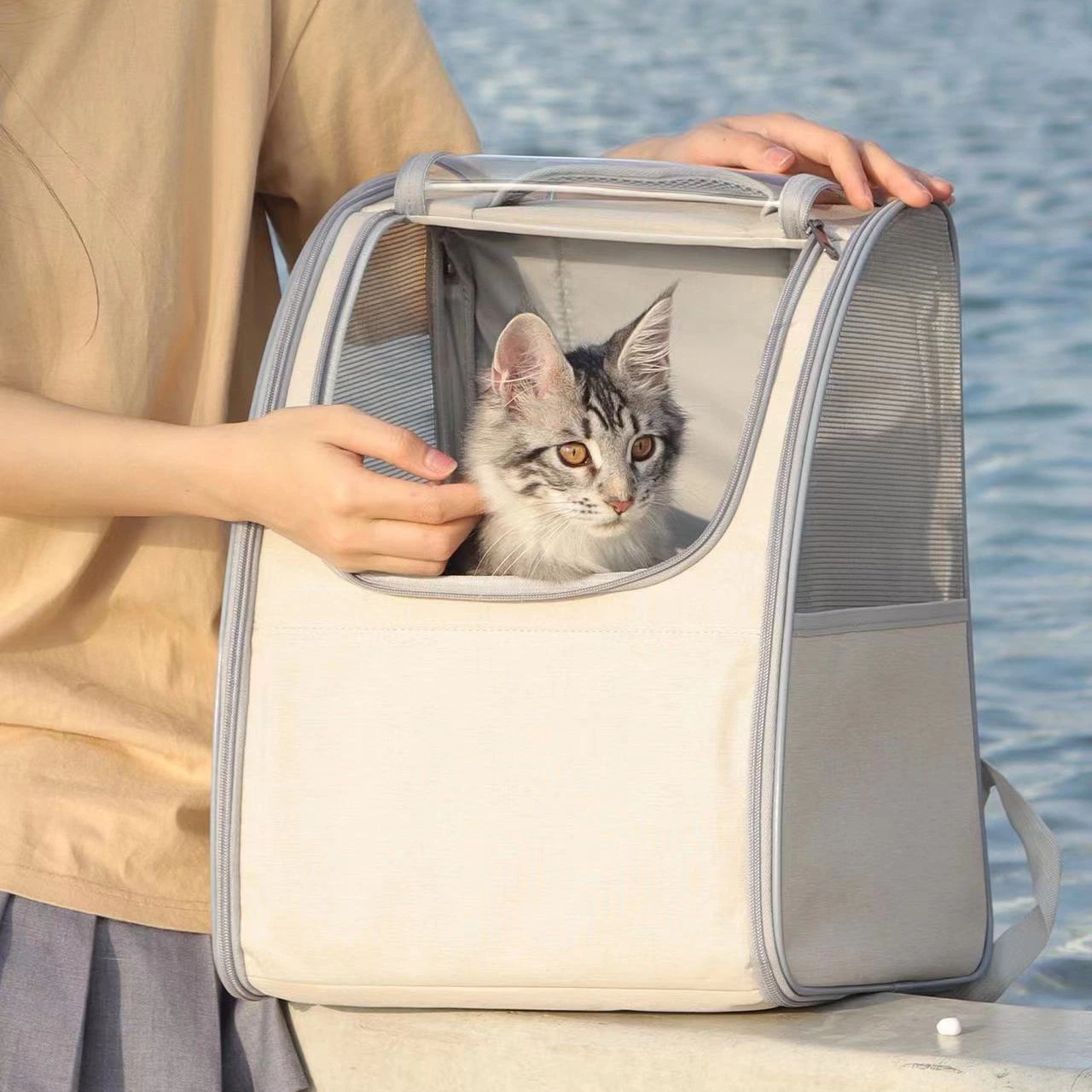 Wholesale/Supplier OEM ODM in Stock Transparent Pet Bag Carrier Pet Bag Front Pet Carrier Backpack