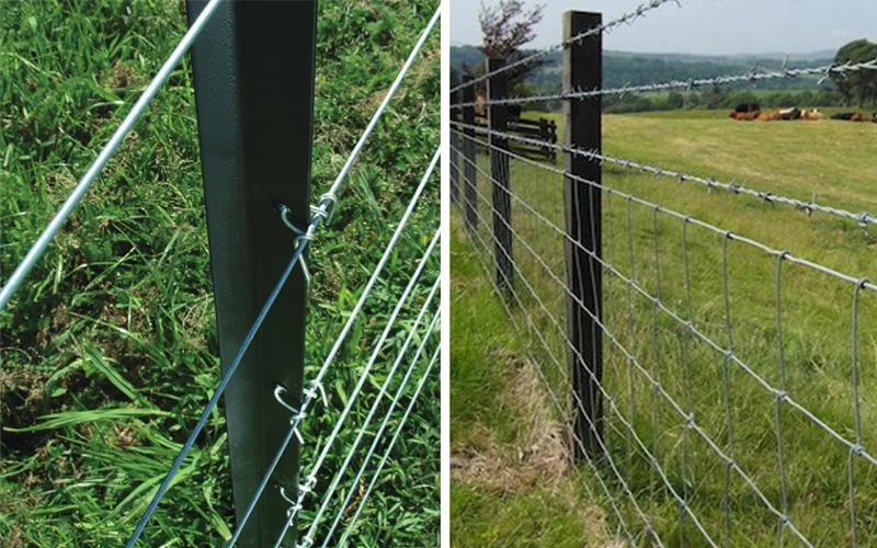 Y Post for Barbed Wire / Livestock Fence Post