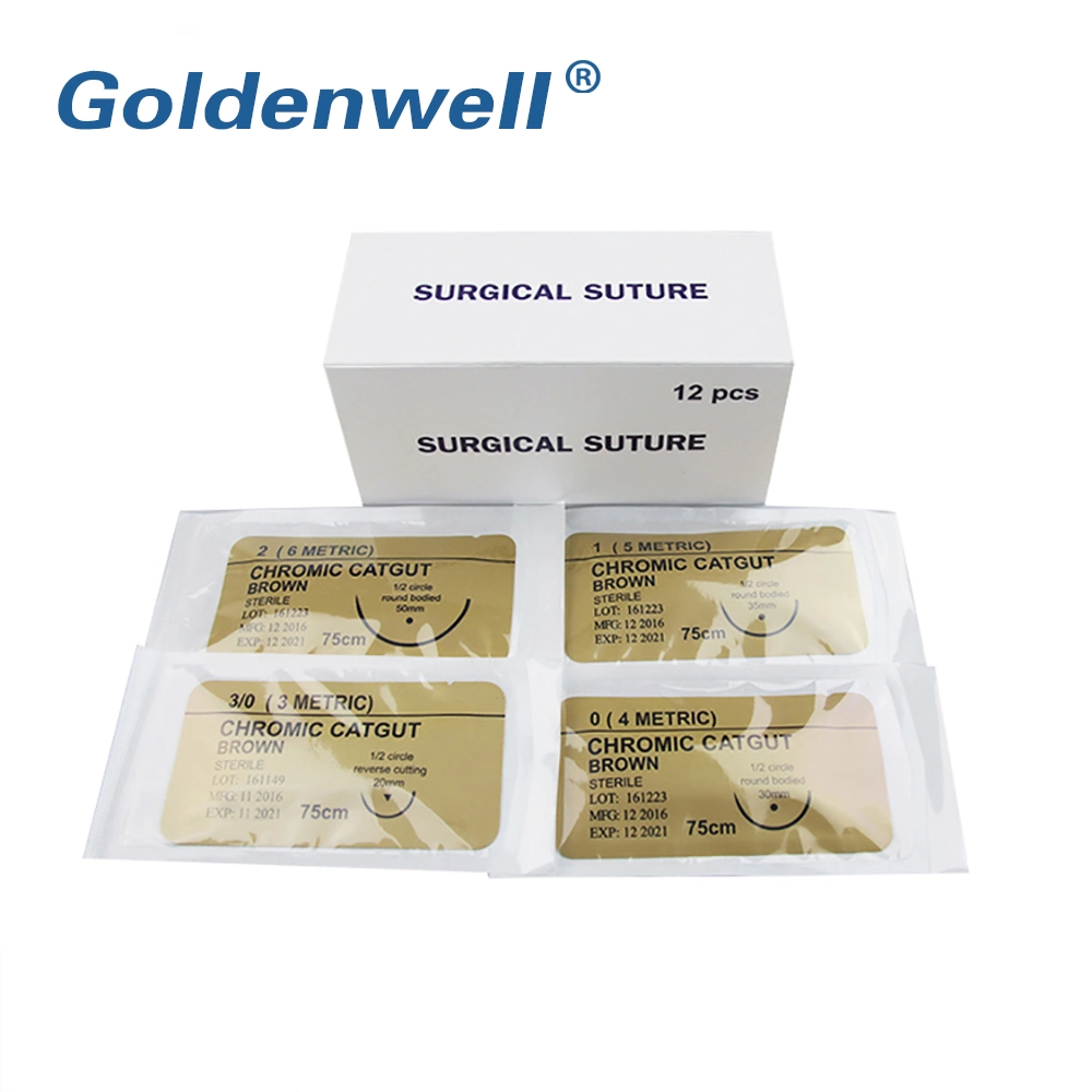Professional Manufacturer Disposable Sterile Medical Absorbable/Non-Absorbable Surgical Suture with Needle