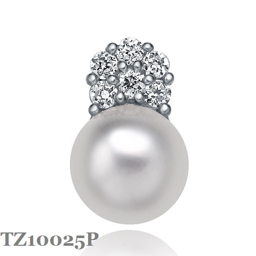 Classic Fashion 925 Silver Jewellery with Fw Pearl and CZ as Gift