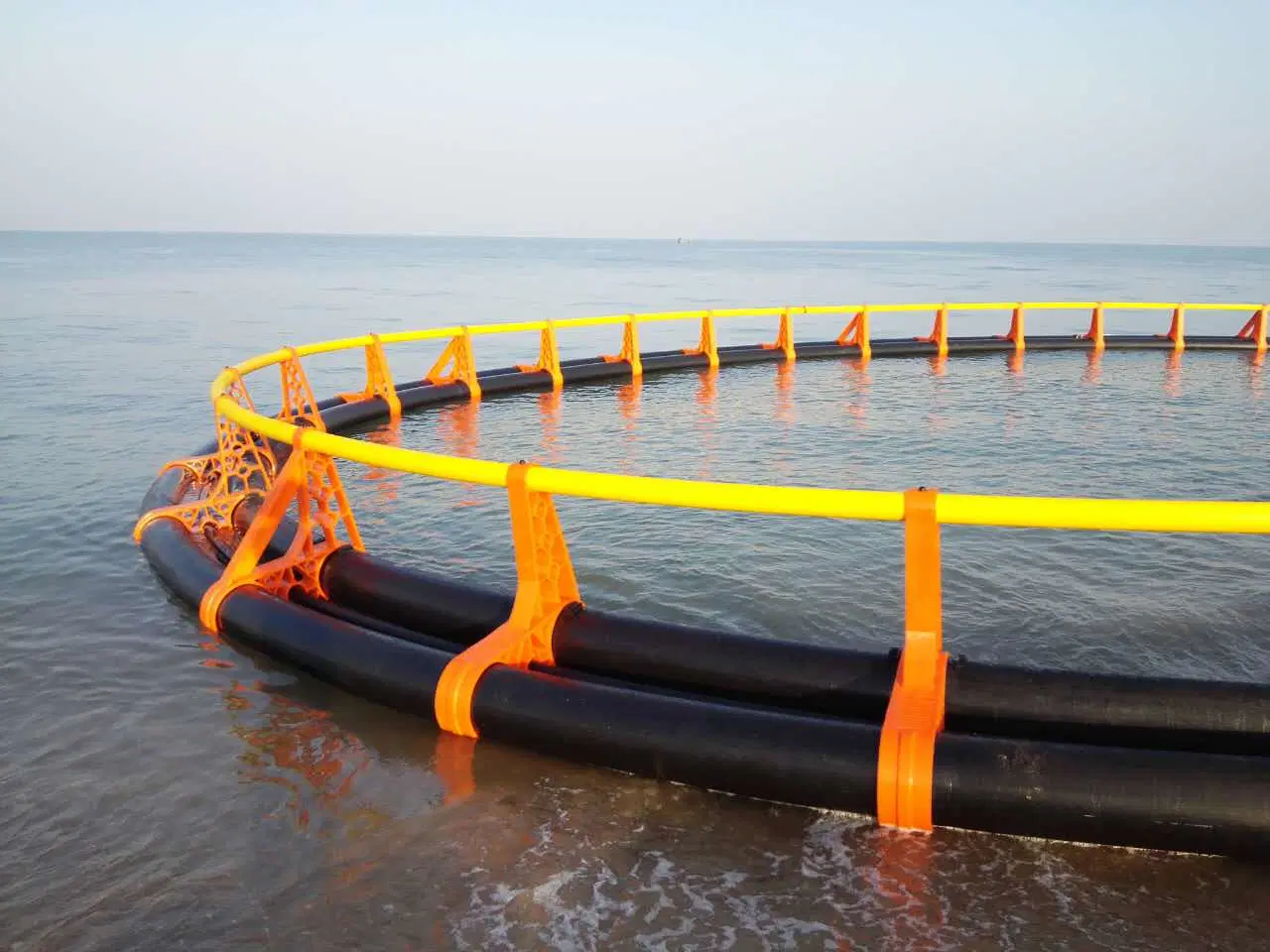 Ofrecemos servicio de instalación para nuestro mejor vendedor de la jaula de peces flotantes de HDPE