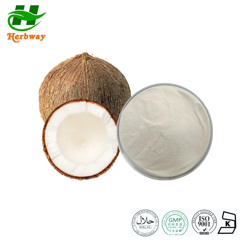 Extrait sans herbe Kosher Halal certifié Cocos nucifera poudre de noix de coco Lait en poudre