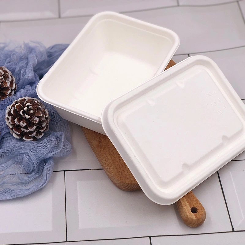 Resistente al agua-The-Go compostable en envasado de alimentos Menubox de caña de azúcar de la bandeja de comida gourmet de verificación