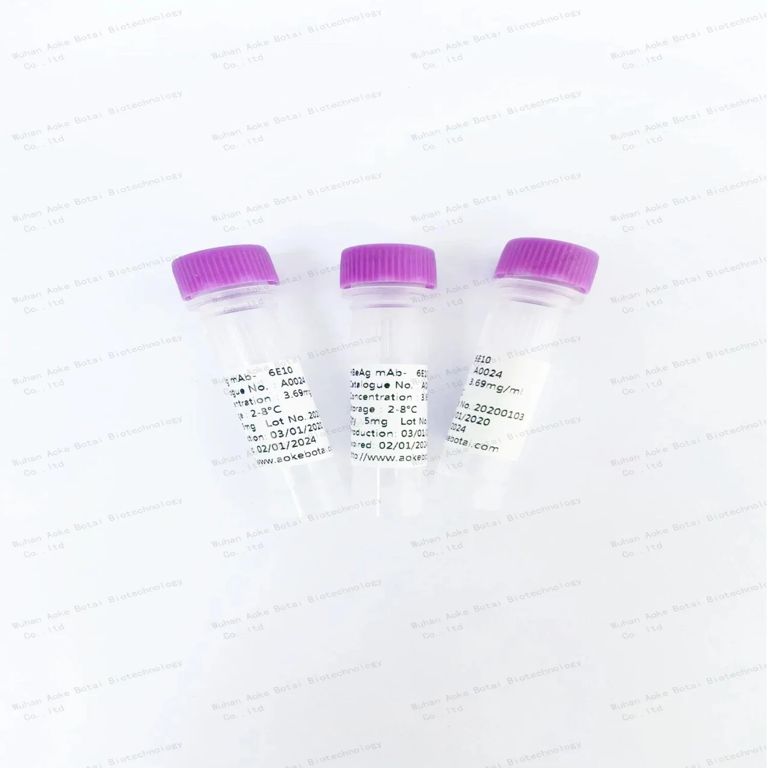 Free Sample Best Pairs SP10 mAb Antigen Antibody