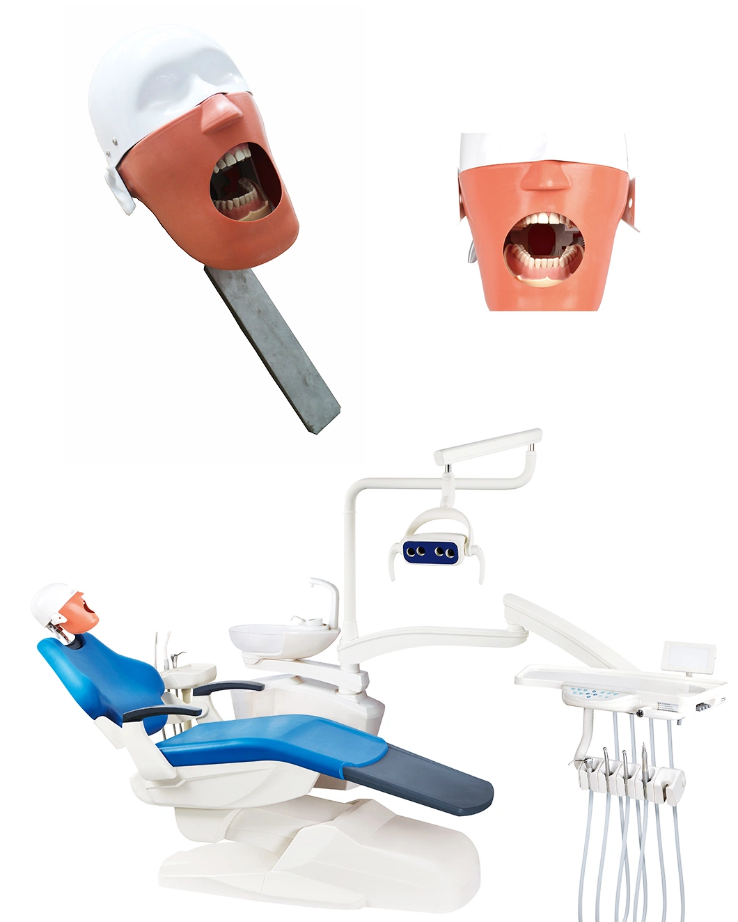 Zahnarztschule Phantom Head Teaching Produkte. Dentalprodukte