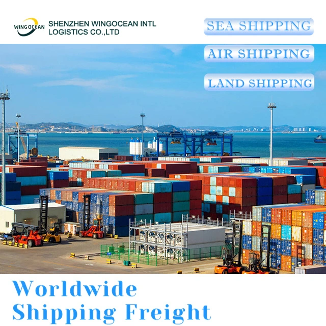 Transporte Internacional China para Arábia Saudita Serviço de Logística da carga Marítima