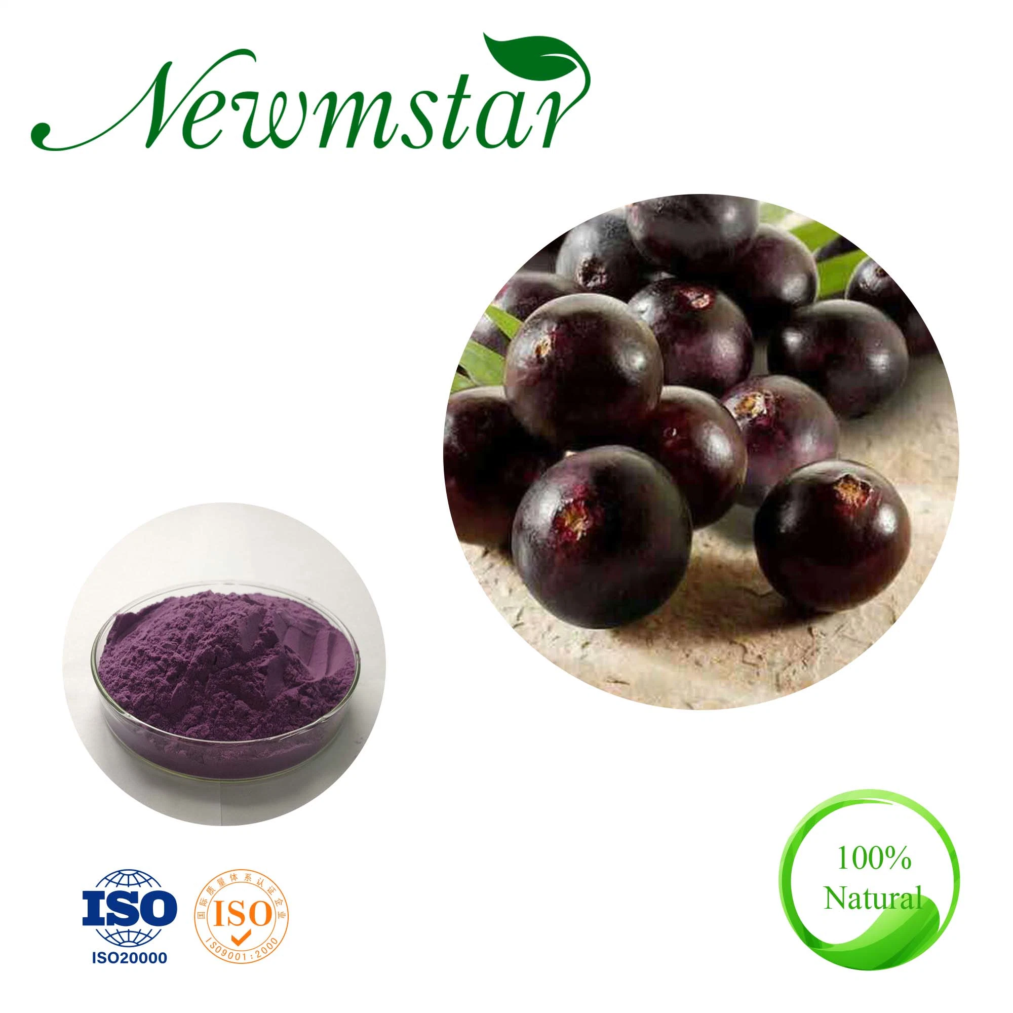 Acai Extract with Good Soluble for Beverage