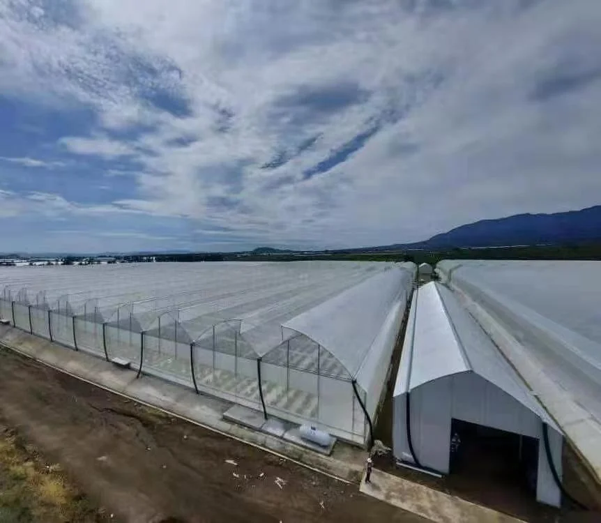 Agricultural Greenhouses and Agriculture Equipment