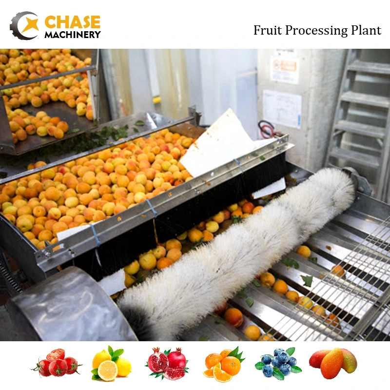 Professional Apple Chips Jam Pulp Juice Production Making Processing Plant