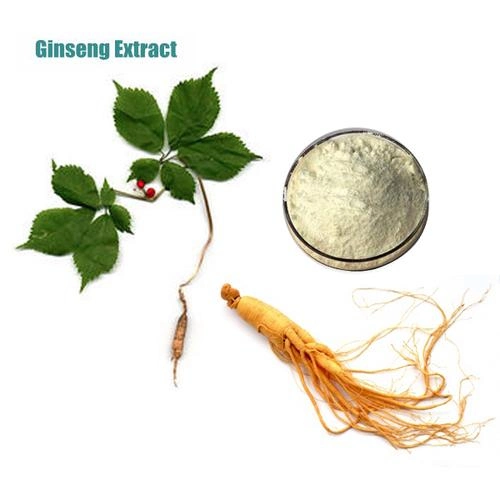 Orgánico puro Ginseng Natural ex. Extracto de Ginseng Panax Extracto de raíz de Ginseng