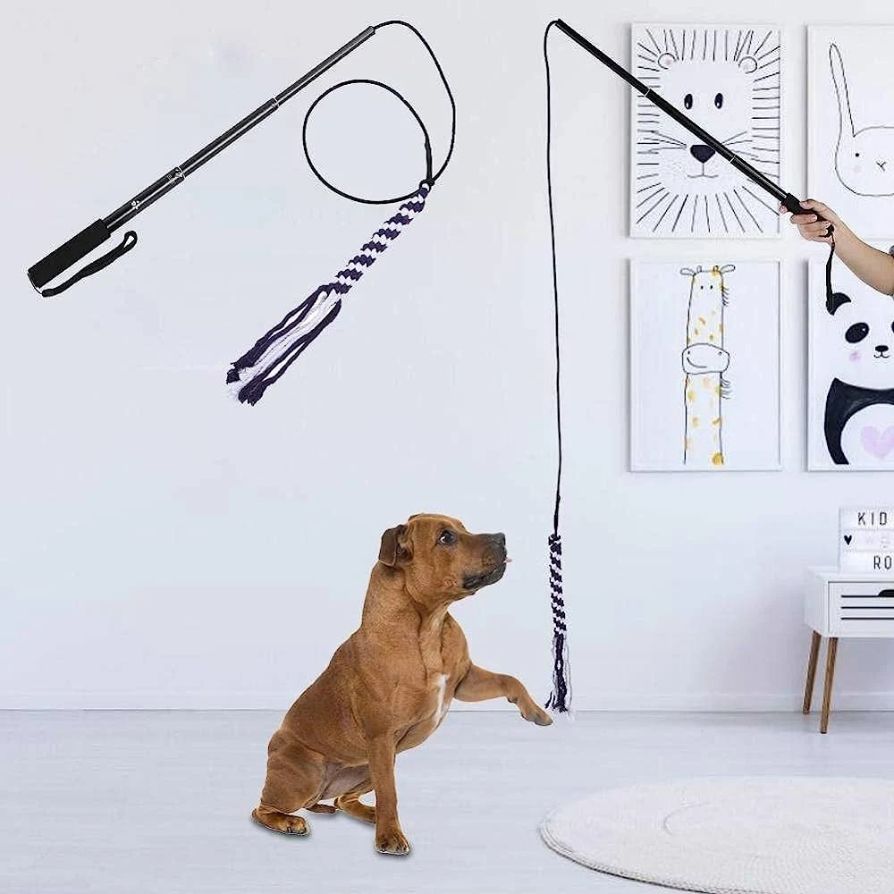 Wholesale/Supplier Outdoors Extendable Interactive Dog Chewing Flirt Poles