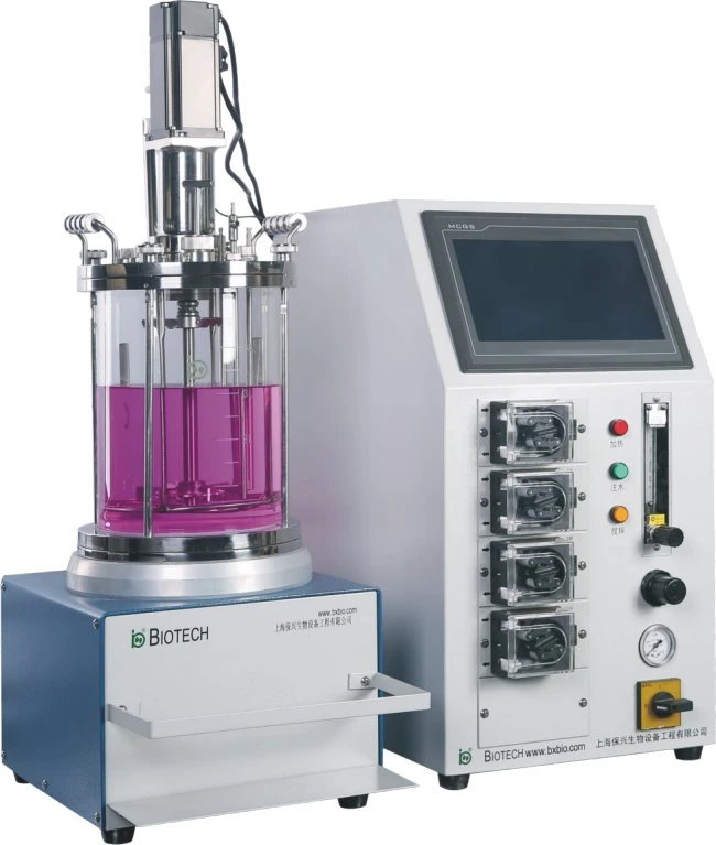 BX-Bio 0,5L-15L Mciroorganismus Kulturglas Fermentor Labor Bioreaktor