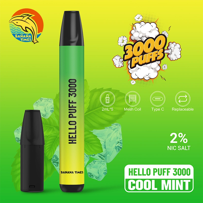 Style Le plus récent d'E-Commerce de gros de cigarettes Vape stylo jetable 5 Pods 3000 bouffées 2 % de la nicotine e-cigarette de sel