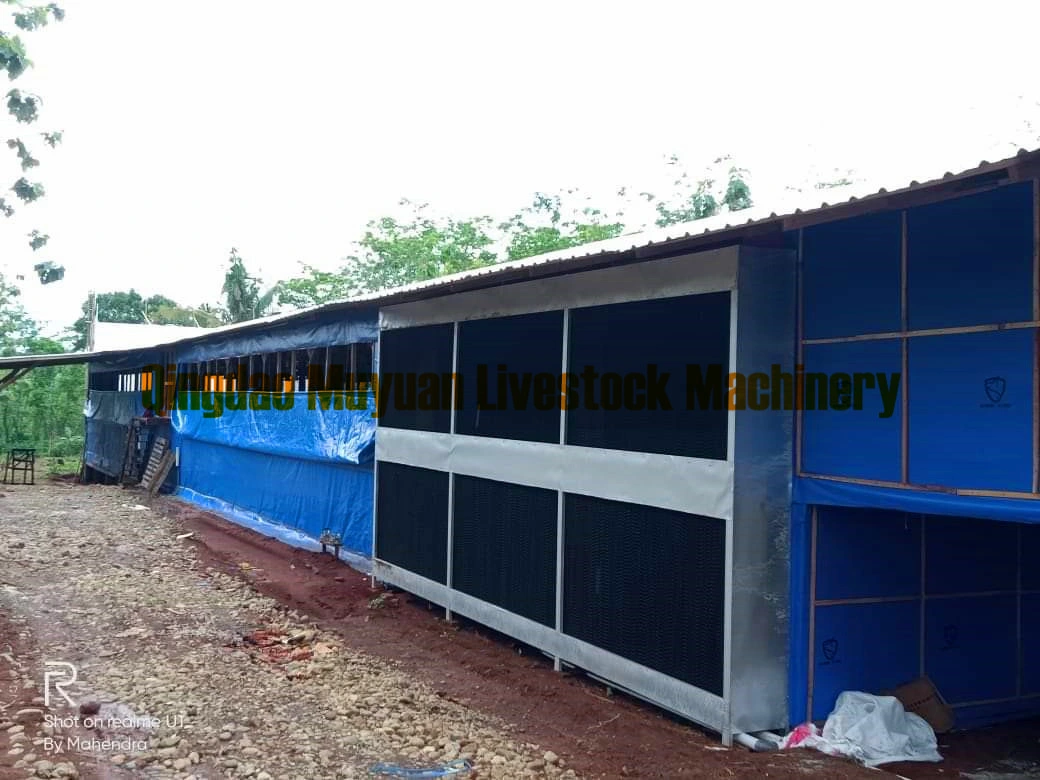 Floor Raising System Poultry Farm Equipment of Feeding Drinking Line