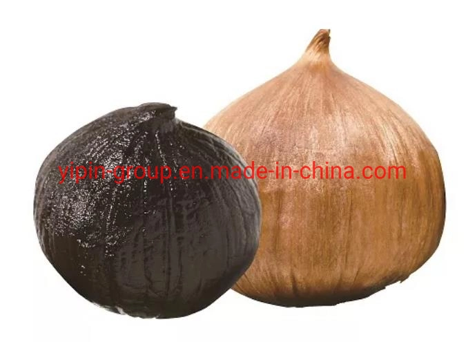 Chinese Garlic Healthy Black Garlic High quality/High cost performance Wholesale/Supplier Black Garlic