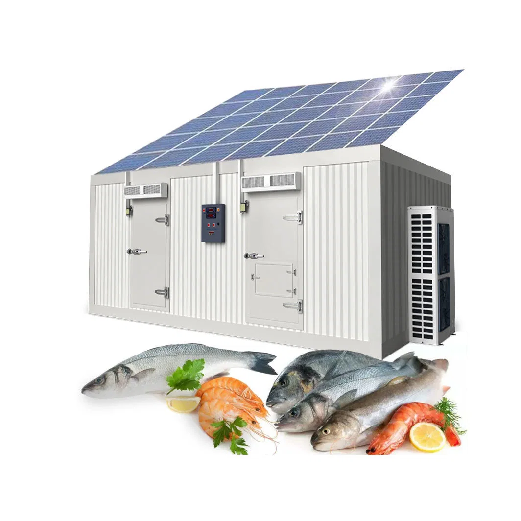 Walk in Solar Powered Storage Freezer 20FT/40FT Container Cold Room for Food