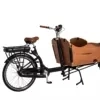 Two Wheel Electric Cargo Bike Used for Adult Family