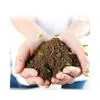 Vermicompost Bio-fertilizante orgânico Condicionador de solo