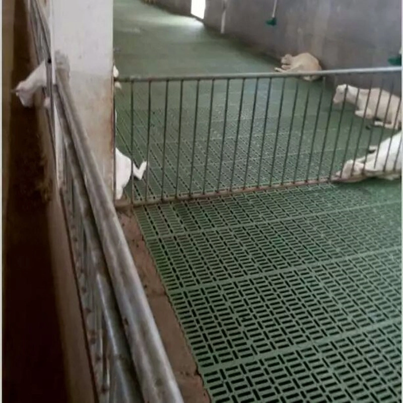 Sheep Bed Plastic Floor