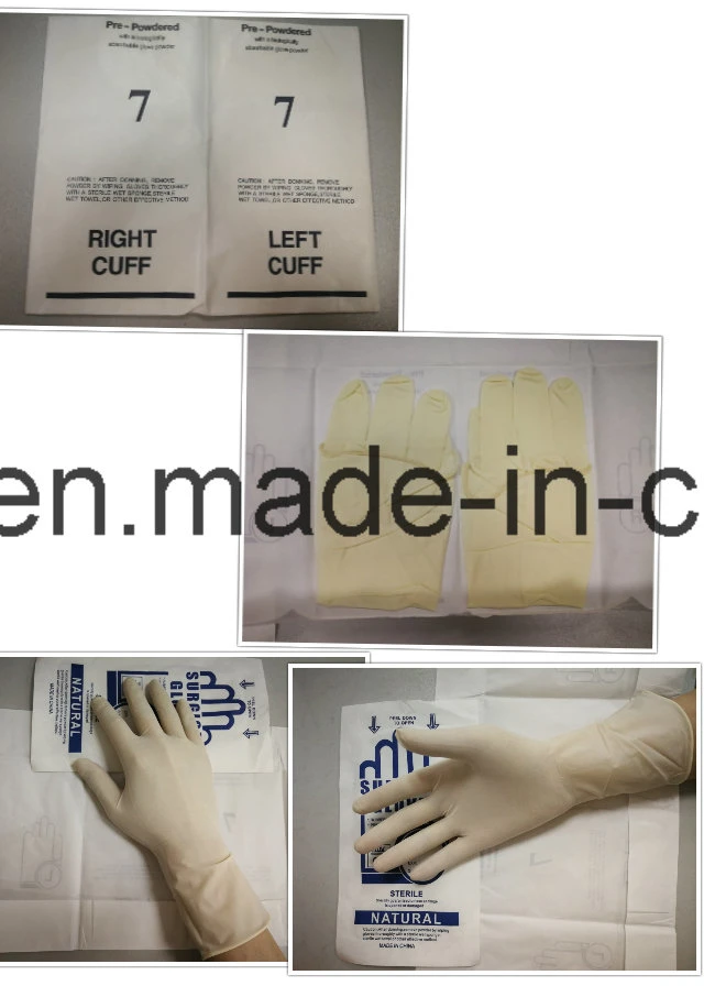 Disposable Natural Rubber Powder or Powder Free Surgical Gloves