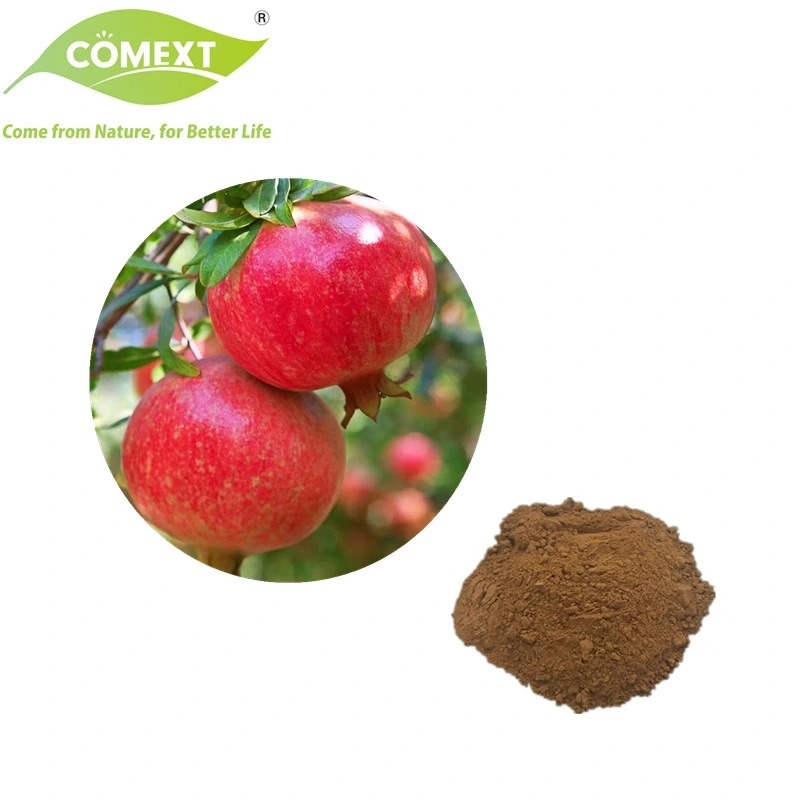 Comext Antioxidant Cosmetics Hot Sale Pomegranate 60% Polyphenols Extract