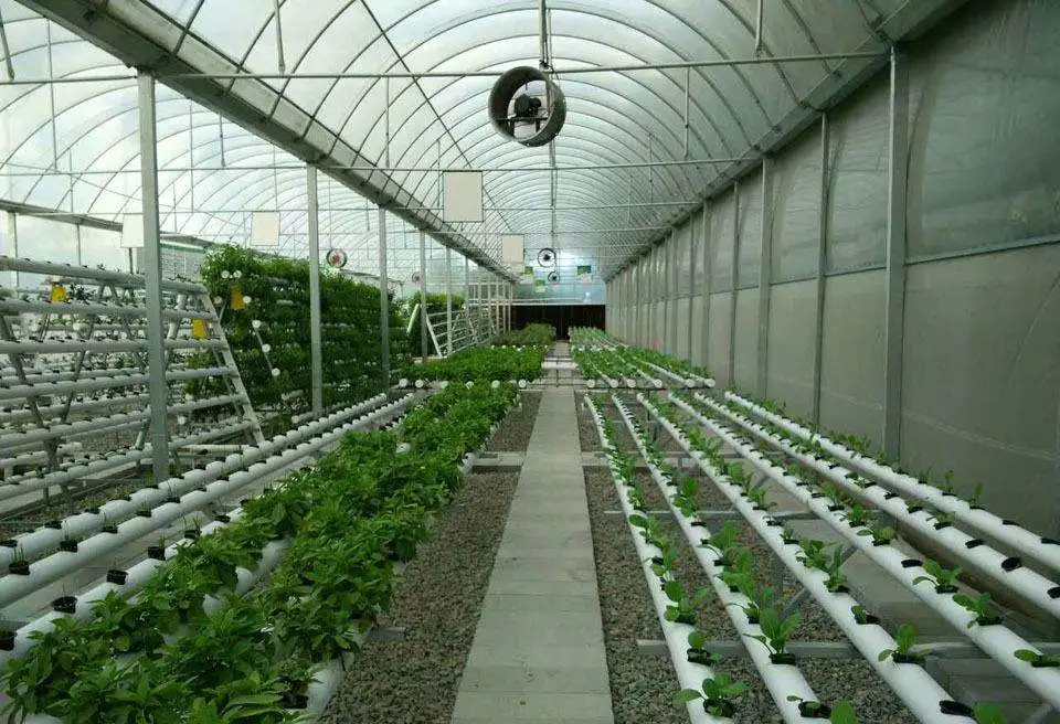 Sistema de cultivo de invernaderos todo en uno para fresas, tomates, lechuga, verduras y flores