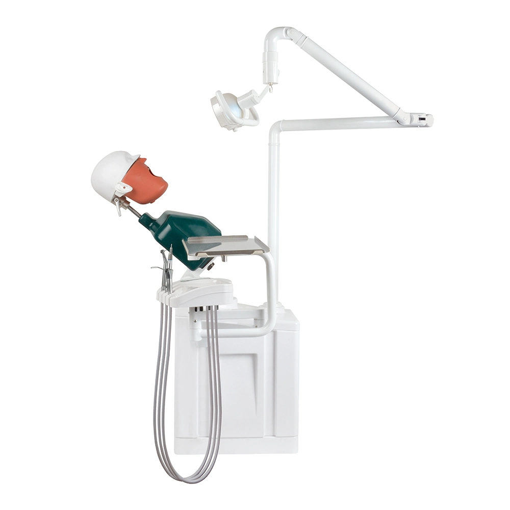 Electrical Lab Phantom Head Simulator Dental for Educational Institution Student Practice